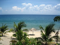 Cham Island Tours