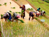 Nghia Lo Vietnam